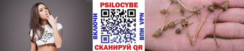 купить  сайты  Чухлома  Галлюциногенные грибы прущие грибы 